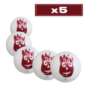 Set of 5 Beach Volleyballs Wilson Seul au monde