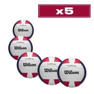 Lot de 5 Ballons Wilson Thrive VB