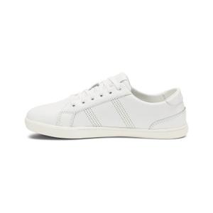 Damen Sneakers Xero Shoes Dillon image-2