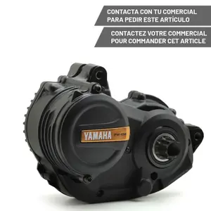 Motor Yamaha Pw-Xm