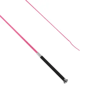 Dressage riding crop York Magnet image-1
