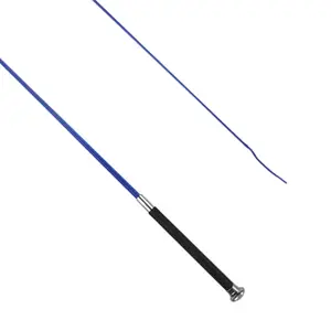 Dressage riding crop York Magnet image-1