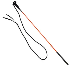 Dressage riding crop York image-0