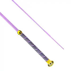 Dressage riding crop York Golden image-1