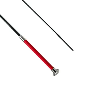 Dressage riding crop York Amos image-1