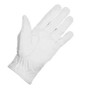 Rijhandschoenen York Summer image-1