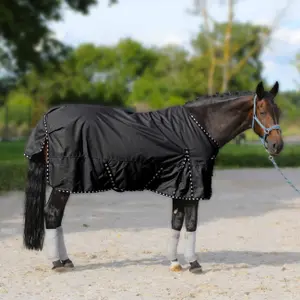 Outdoor  Blanket York Rain Star 200 g image-0