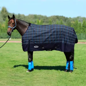 Outdoor  Blanket York Gizela image-0