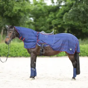 Training Fly Sheet for Horse York Lyra image-0