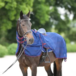 Training Fly Sheet for Horse York Lyra image-1