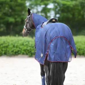 Training Fly Sheet for Horse York Lyra image-2