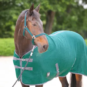 Stable Blanket York Santi image-1