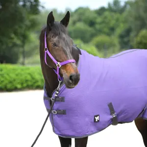Stable Blanket York Santi image-1