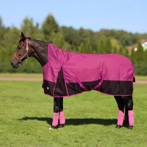 Outdoor  Blanket York Eskimo 100 g image-0