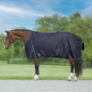 Outdoor  Blanket York Gold Star image-0