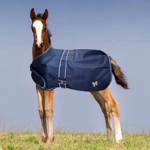Outdoor  Blanket York Foal 100 g image-0