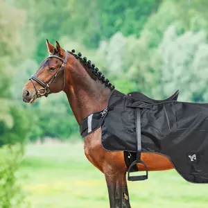 Hindquarters Cover York Reflect image-1