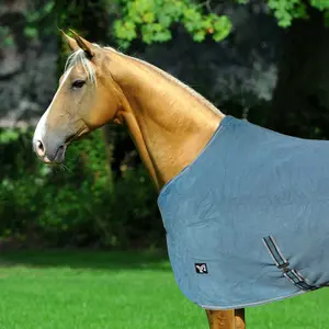 Fleece Blanket York Billie image-1