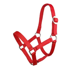 Halter for horse York image-0