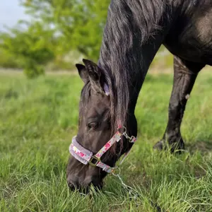 Fur halter for horse York Fleur image-2