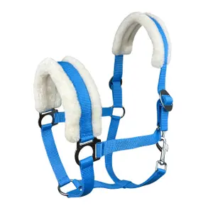 Halter for horse York Sophia image-0
