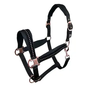 Halter for horse York Mergo image-0