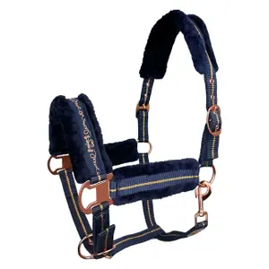 Halter for horse York Lira image-0