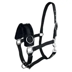 Nylon horse halter York Cave image-0