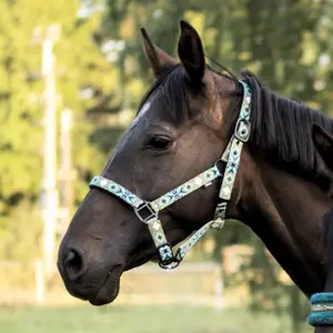 Halter for horse York West image-1