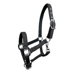 Halter for horse York Aston image-0