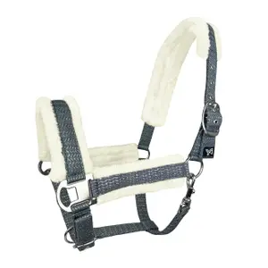 Halter for horse York Pola image-0