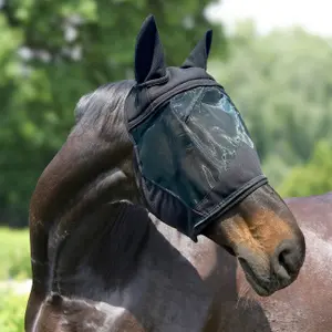 3-in-1 fly mask for horses York Syntia image-2