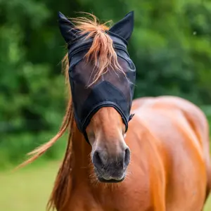 3-in-1 fly mask for horses York Syntia image-3