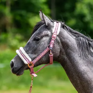 Fur halter for horse York Cyntia image-1