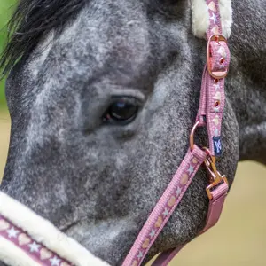 Fur halter for horse York Cyntia image-3