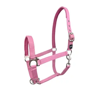 Nylon horse halter York Dora image-0