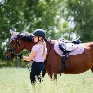 Dressage Saddle Pad for Eventing Horse York Andrea image-1