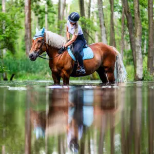Dressage Saddle Pad for Eventing Horse York Andrea image-1