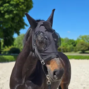 Anti-fly Mask York Arletta image-0