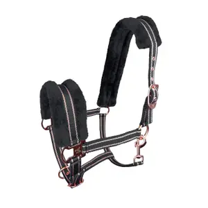 Halter for horse York Gold Star image-0