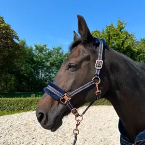Halter for horse York Gold Star image-1
