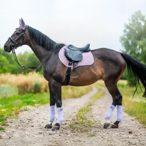 Polo strips for polar horses York image-3
