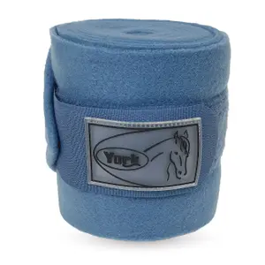 Polo strips for polar horses York image-0