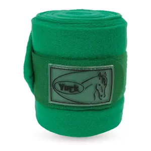 Polo strips for polar horses York image-0