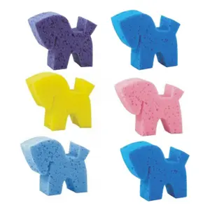 Riding sponge York (x6)