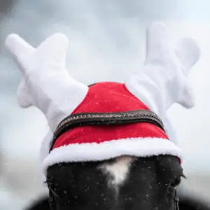 Short Fly hat York Christmas Reneer image-1