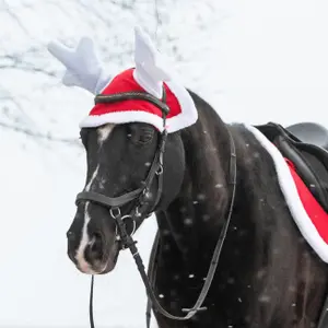 Short Fly hat York Christmas Reneer image-3