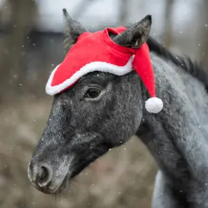 Horse Hat with Pom Poms York image-1