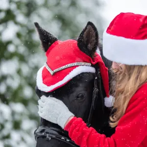 Horse Hat with Pom Poms York image-2