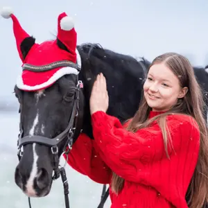 Horse Hat with Pom Poms York image-3